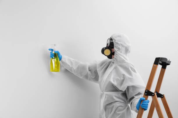 Best Biohazard Mold Removal  in Juarez, TX